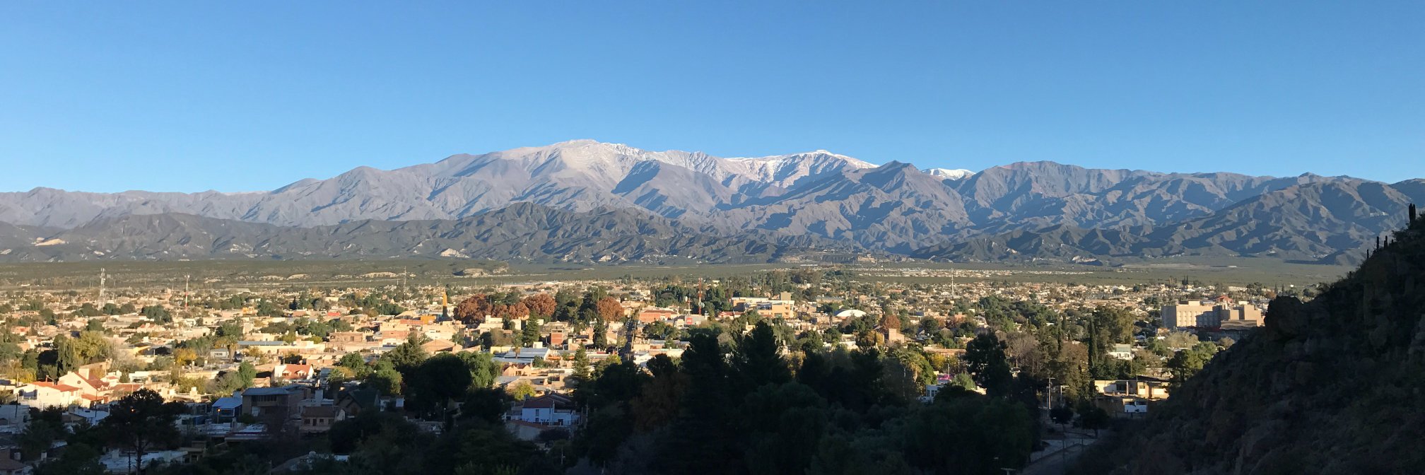 JULIO MARTINEZ banner