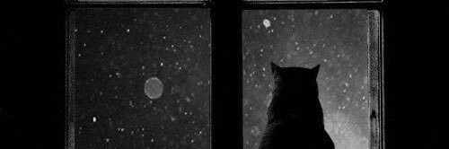 guler_ikranur's profile banner image