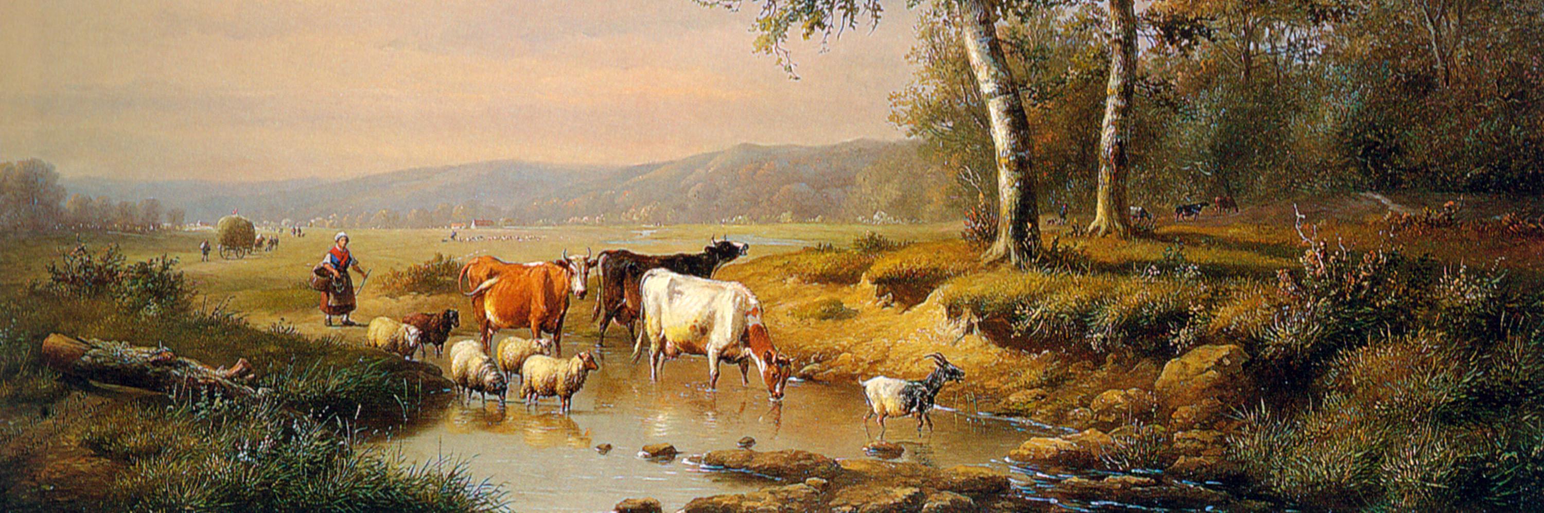 Michael Levandi banner