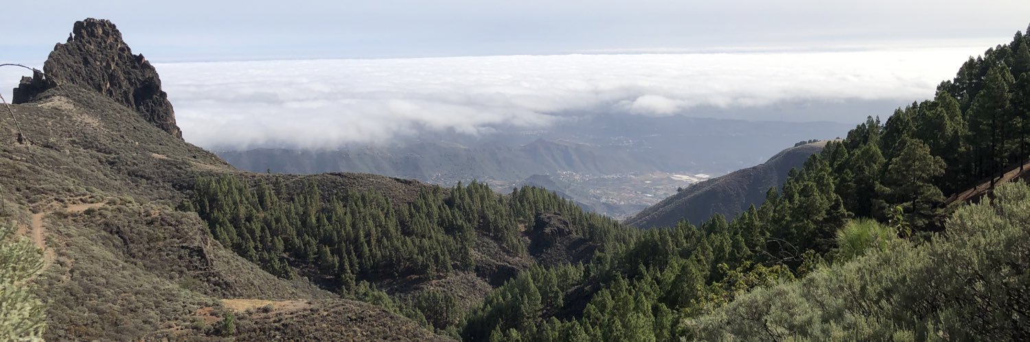 TomekFm's profile banner image