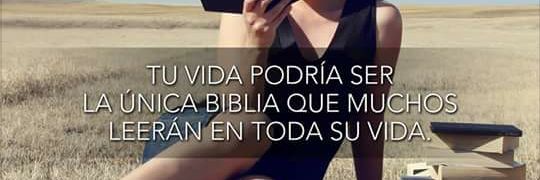 sandra_osorio1's profile banner image