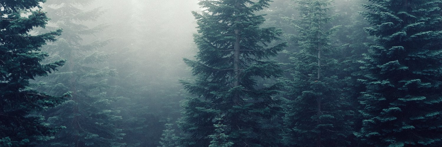 Lem_A1's profile banner image