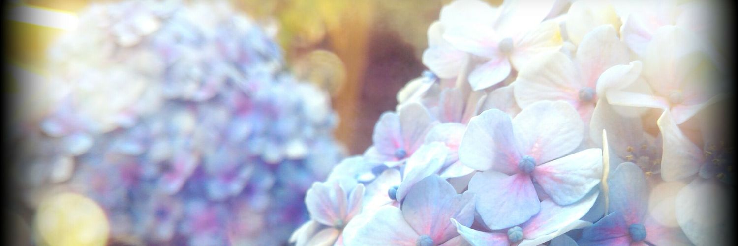 eggroll_3's profile banner image