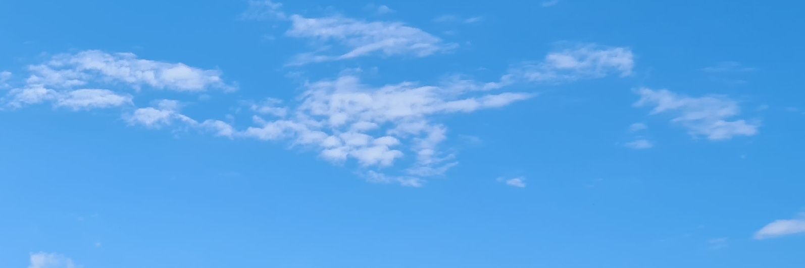 Virginie Cady banner