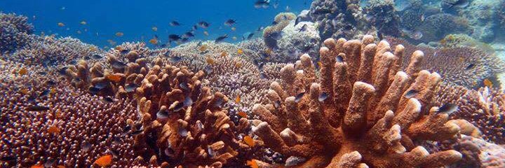 UnderwaterBar's profile banner image