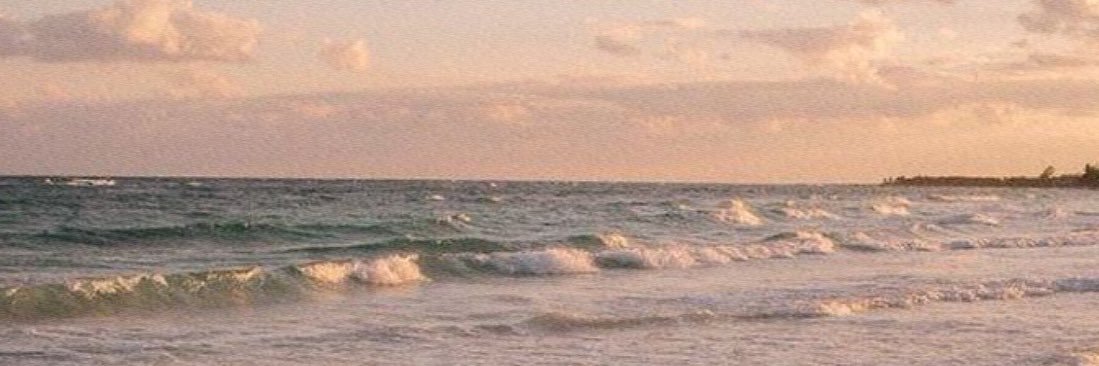 busraa_acaar's profile banner image