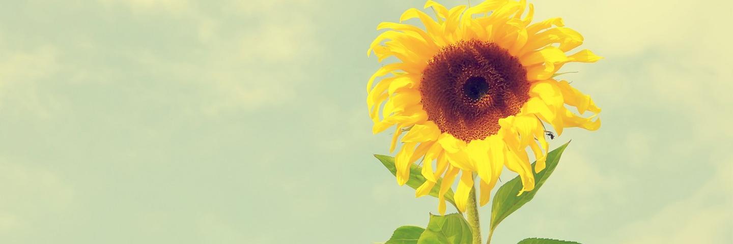 evaL0721's profile banner image