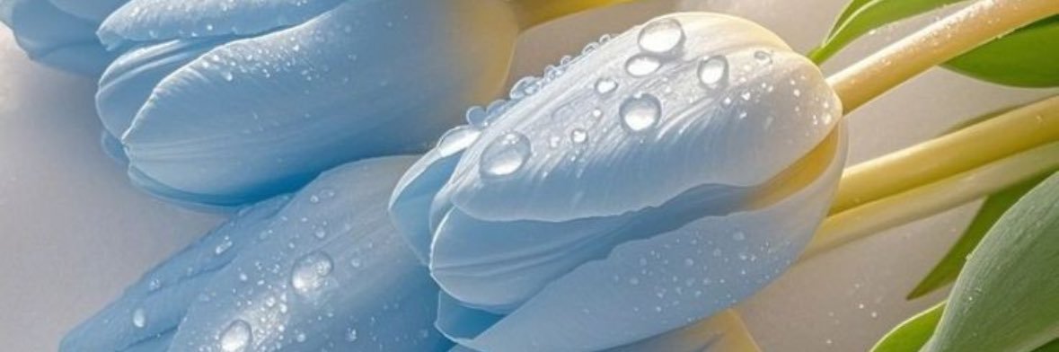 Katie banner