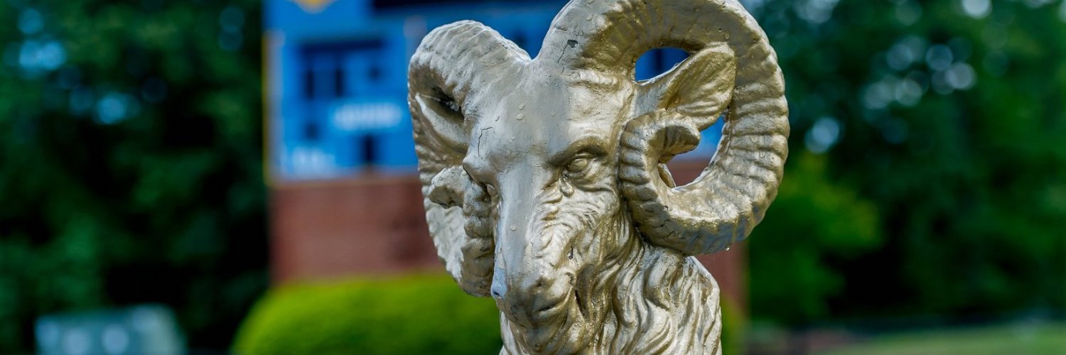 Robinson Rams Athletic Boosters 💙💛🐏 banner