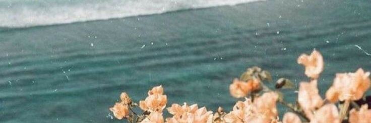 shalaka92's profile banner image