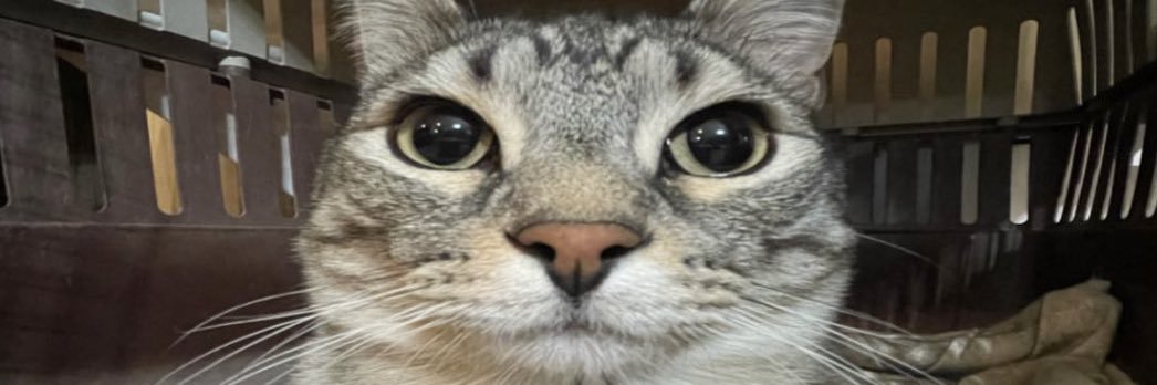 mfwcum's profile banner image