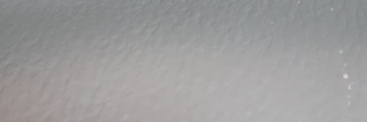 Guavaplum's profile banner image