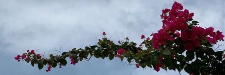 _nni08's profile banner image