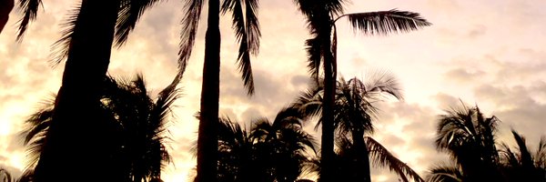 rrcilio Profile Banner