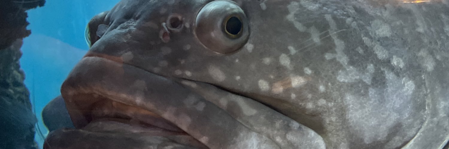 Bryan M 🇺🇸🇺🇦🇹🇼 banner