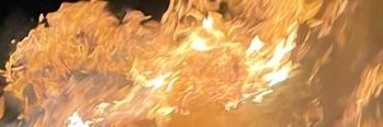 the_contributor's profile banner image