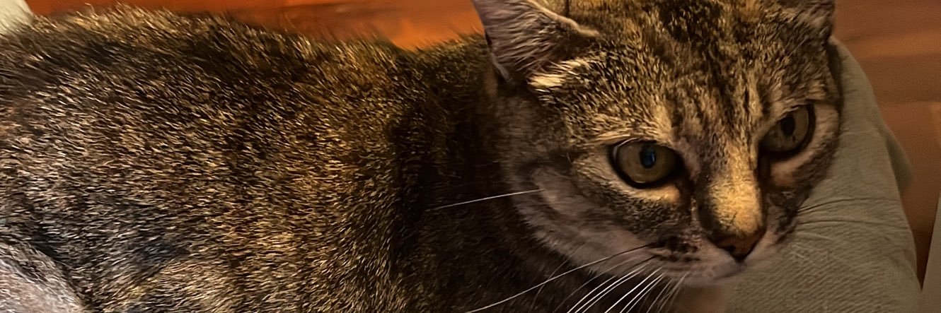 cass_brn's profile banner image