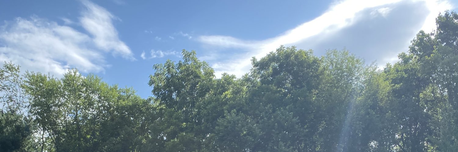 Michele_Svr's profile banner image