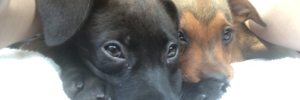 natalie_keeble's profile banner image