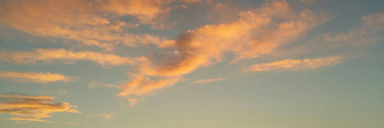 ozlemsin_'s profile banner image