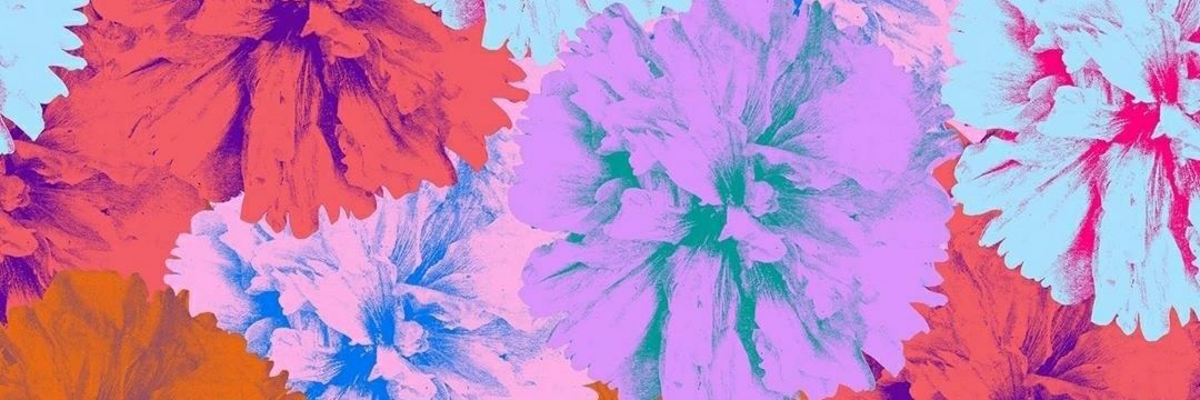 FlorDeDonatis's profile banner image