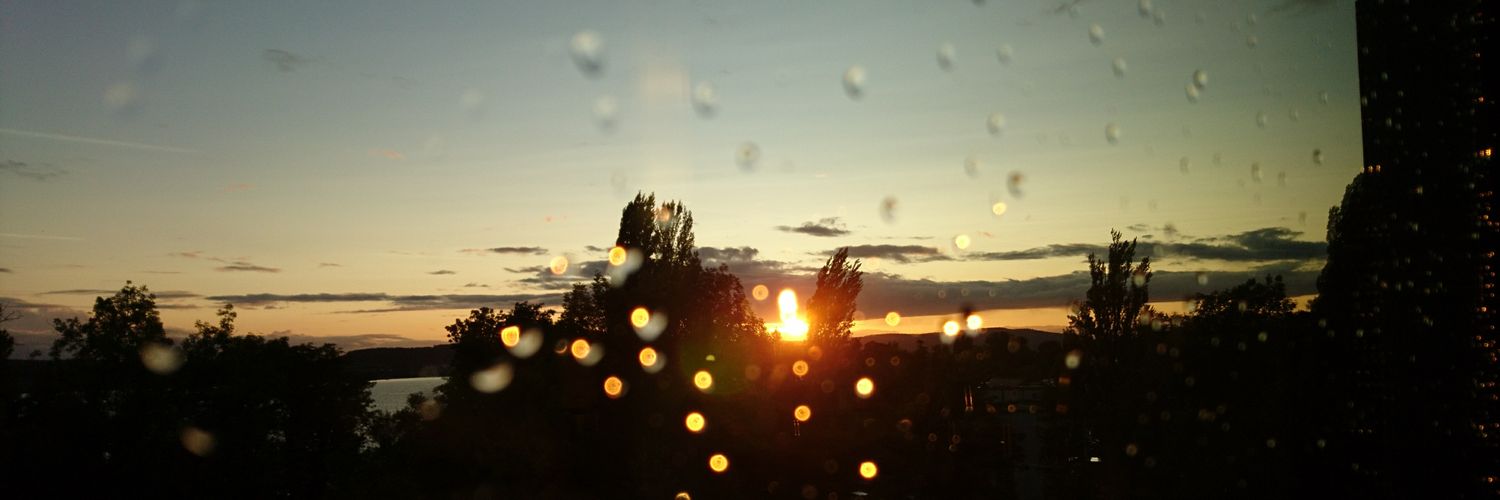 CarinaMoopy's profile banner image