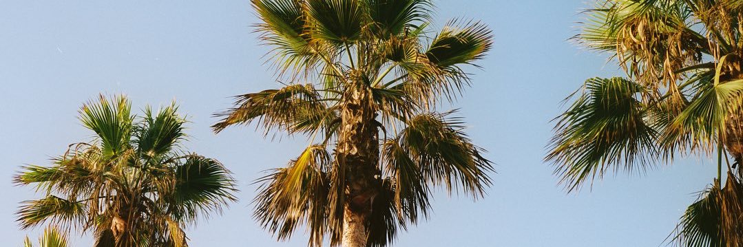 devon_mayfield's profile banner image