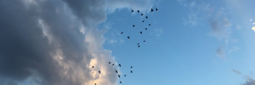 andreaperezc01's profile banner image