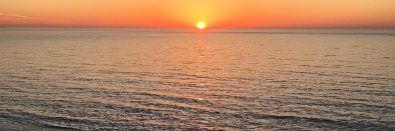 lailaa_t's profile banner image