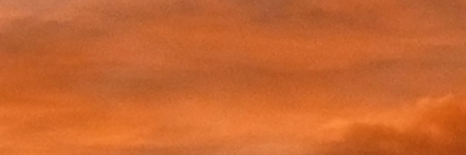 elfishud's profile banner image