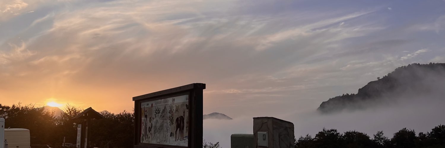 srtayellow's profile banner image