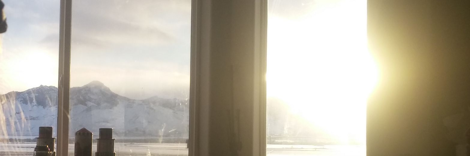 tori_willmann's profile banner image