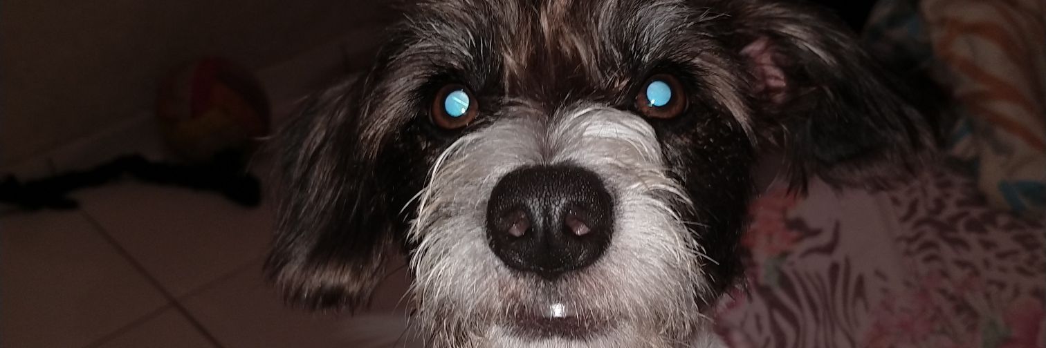 xfranklis's profile banner image