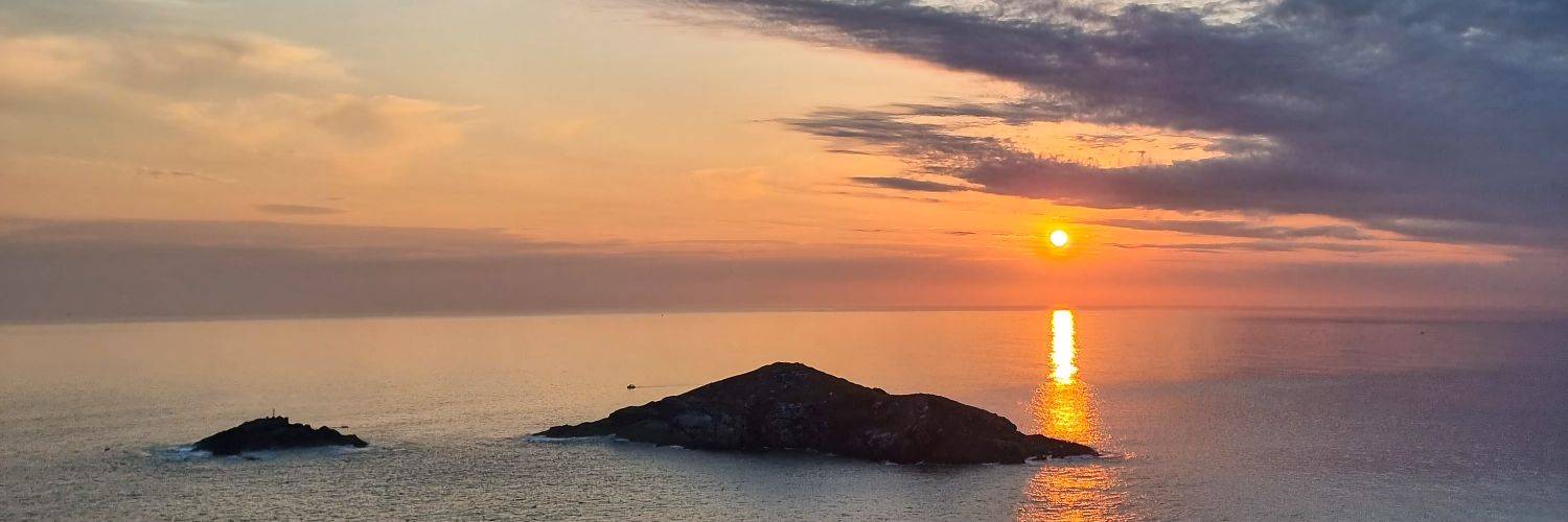 igortofaneli's profile banner image