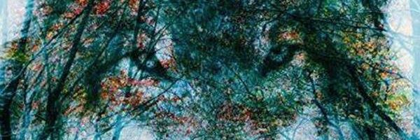 SebastianZecca's profile banner image