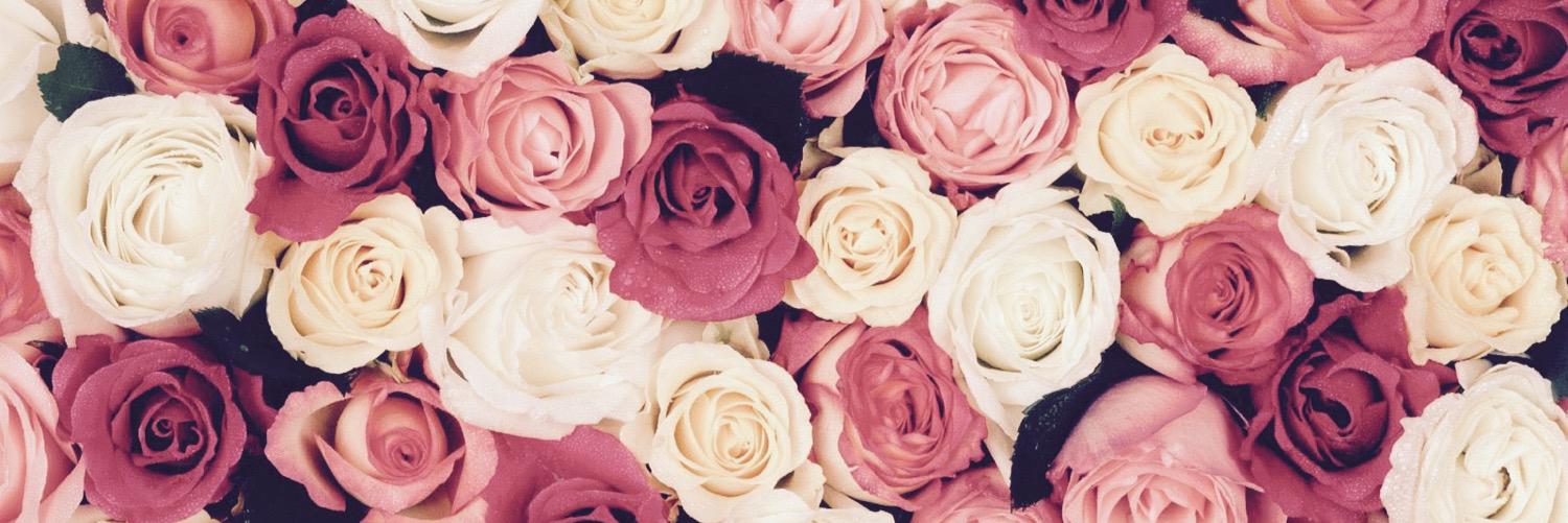 by__Elise's profile banner image