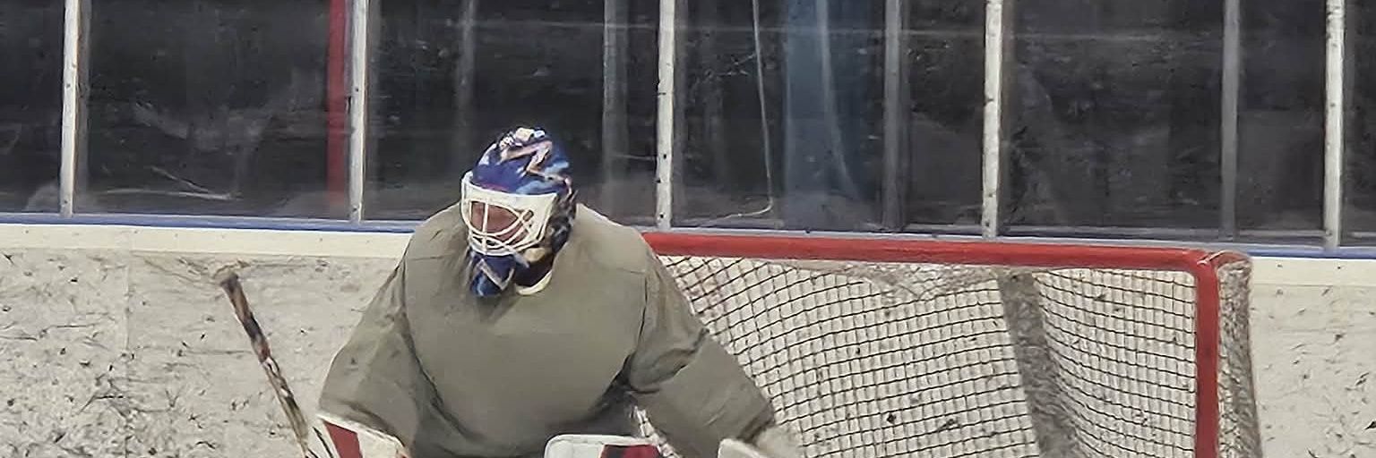 Tbearswe🇸🇪 banner