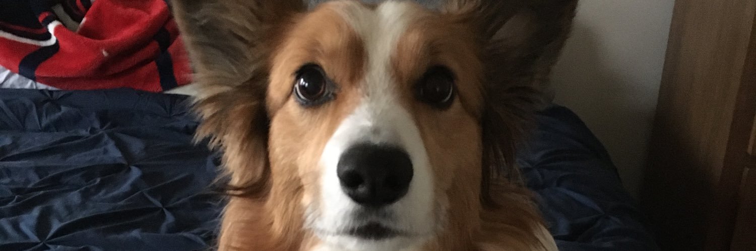 Austinsofreshh's profile banner image