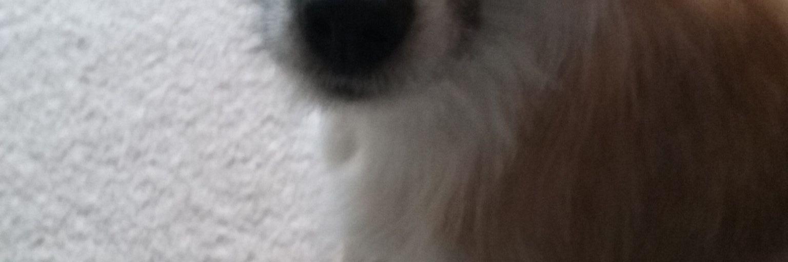 diversjim's profile banner image