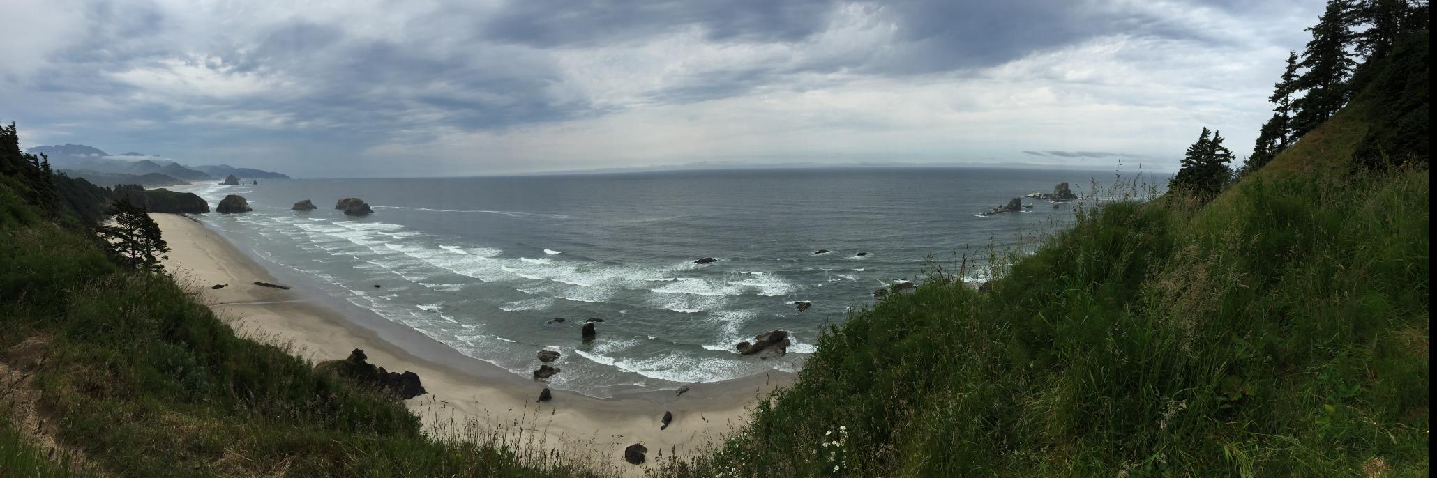 CreativelyRed banner