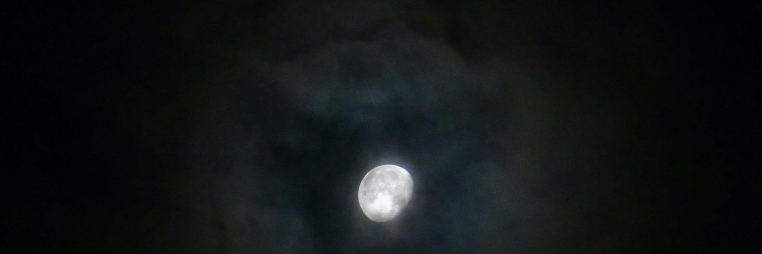luceroauri's profile banner image