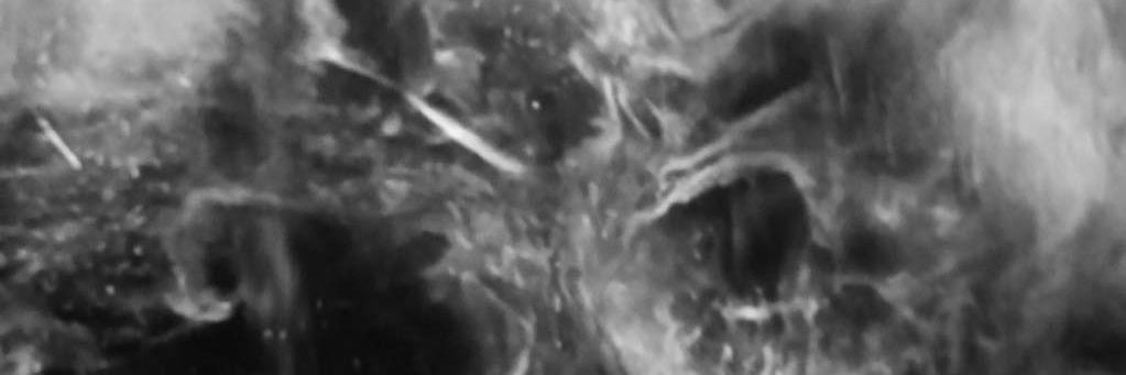 nuritekin_'s profile banner image