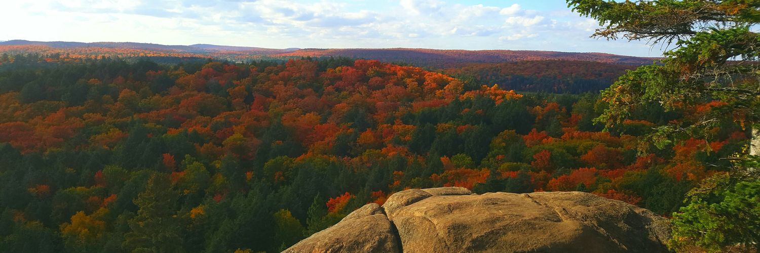 4schink's profile banner image