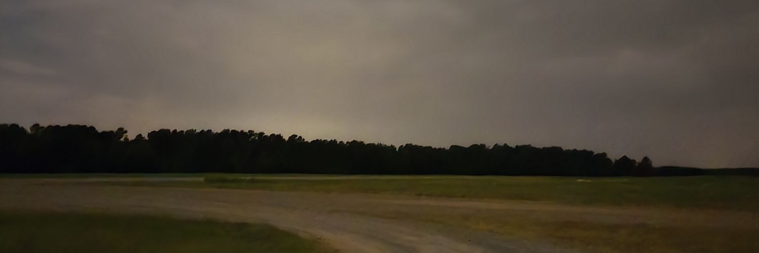 TonyTheSaltyOne's profile banner image
