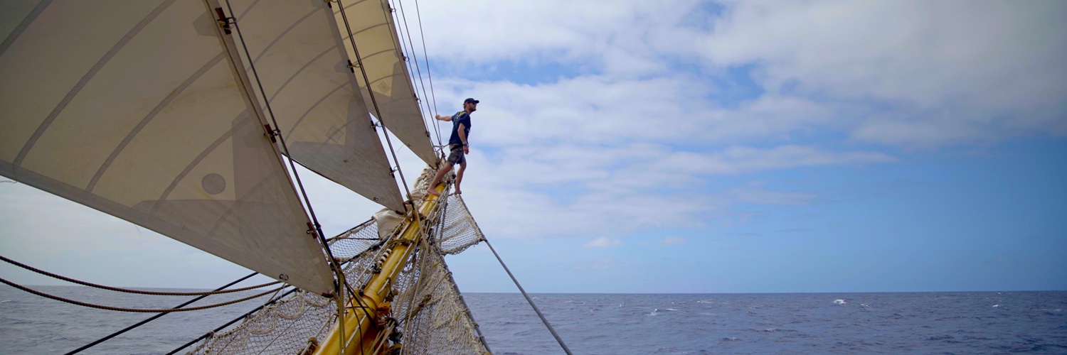 James M Levelle banner