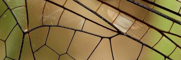 gravityplus0 Profile Banner