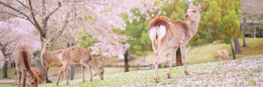 HTMLLUHAN's profile banner image