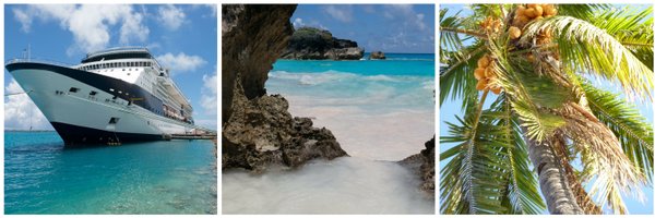 MyVirtualVaca Profile Banner