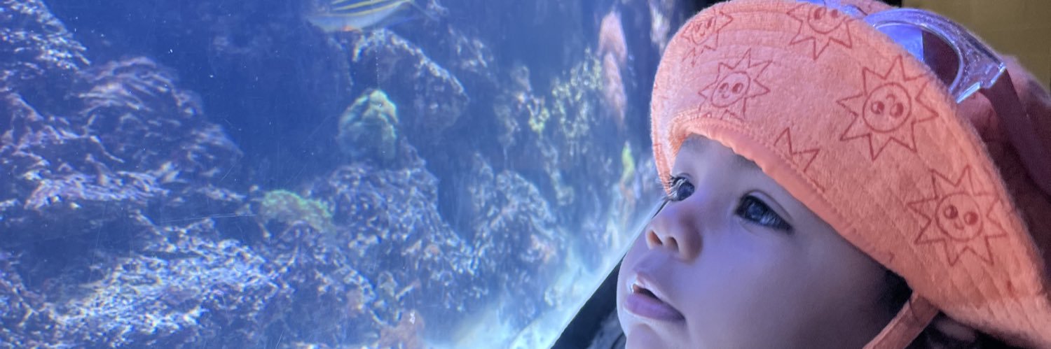 Trippy__Hooper's profile banner image