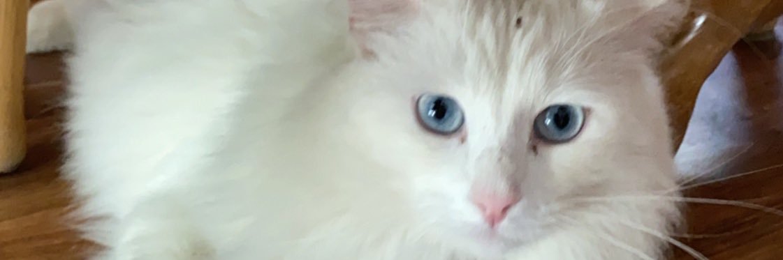 Mackenzie Nix banner